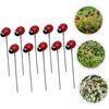 10PCS Rust-proof Small Insects Stakes Plug-In Lawn Stake Ladybug Sign Ladybug Stakes  Garden