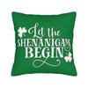 Pillow Cover St Patricks Day  Funny Pillow Case For Living Room Sofa Pillowcases