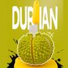 Interactive Durian Pretend Play Set Cutable Fruit Cutting Toys  Play Food Set