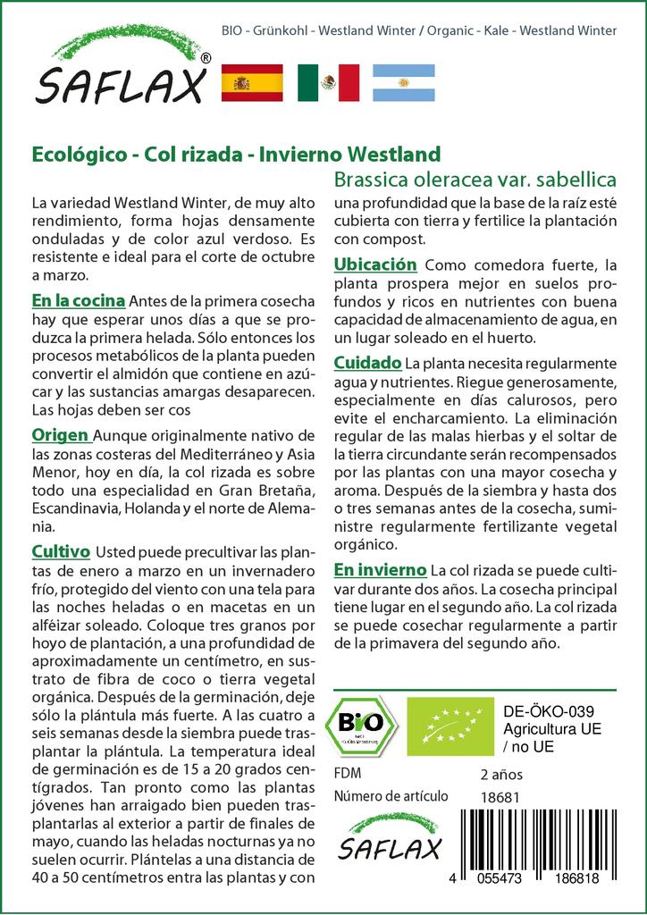 SAFLAX Organic - Капуста - Westland Winter - 70 семян - Brassica oleracea