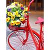 DIY 5D Diamond Painting Flower Bicycle Diamond Embroidery Cross Stitch Full Round Mosaic Rhinestones