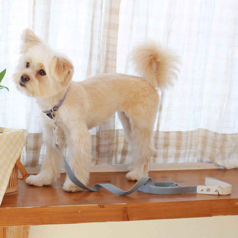 MAISON DE MIU Кожаный поводок с тесьмой для бега_Белый/Светло-голубой