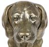 Weimaraner, Grey Ghost - Dog statue, bust on stone base, sculpture, trophy for dog show by Art-Dog brand