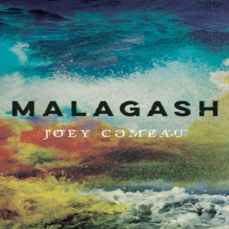 Malagash by Joey Comeau Paperback Book 9781770414075