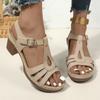 Sandals for Women, Summer 2025 New Style, Fish Mouth, Thick Heel, Buckle Strap, High-heeled Sandals