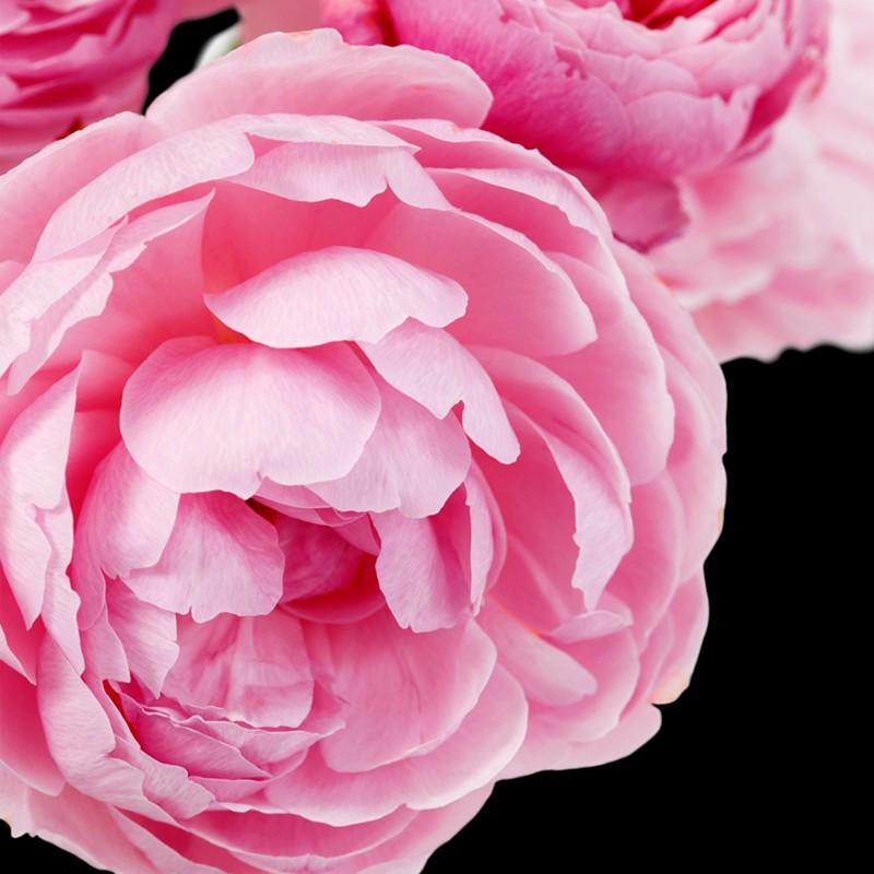 Yodeyma Prime Water парфюмированная вода для женщин 100мл