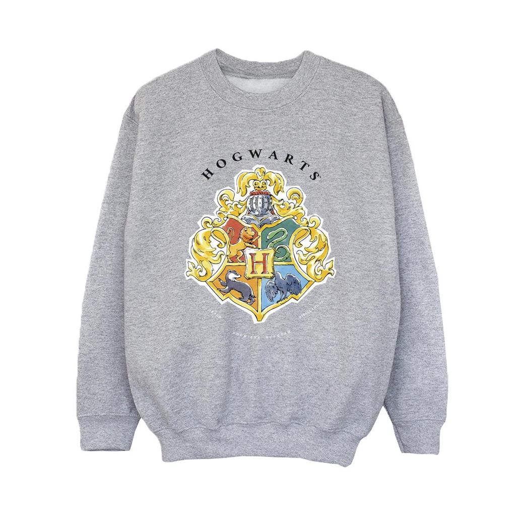 HARRY POTTER Boys Hogwarts School Emblem Sweatshirt