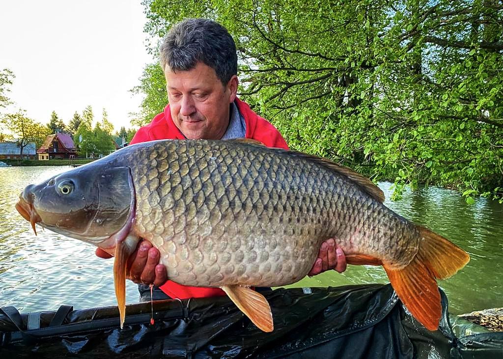 Carp Food Perfection Pop-Up - Floating Boils 16mm/70g Perfect Strawberry