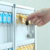 Deli Aluminum Alloy Wall-Mounted Key Cabinet