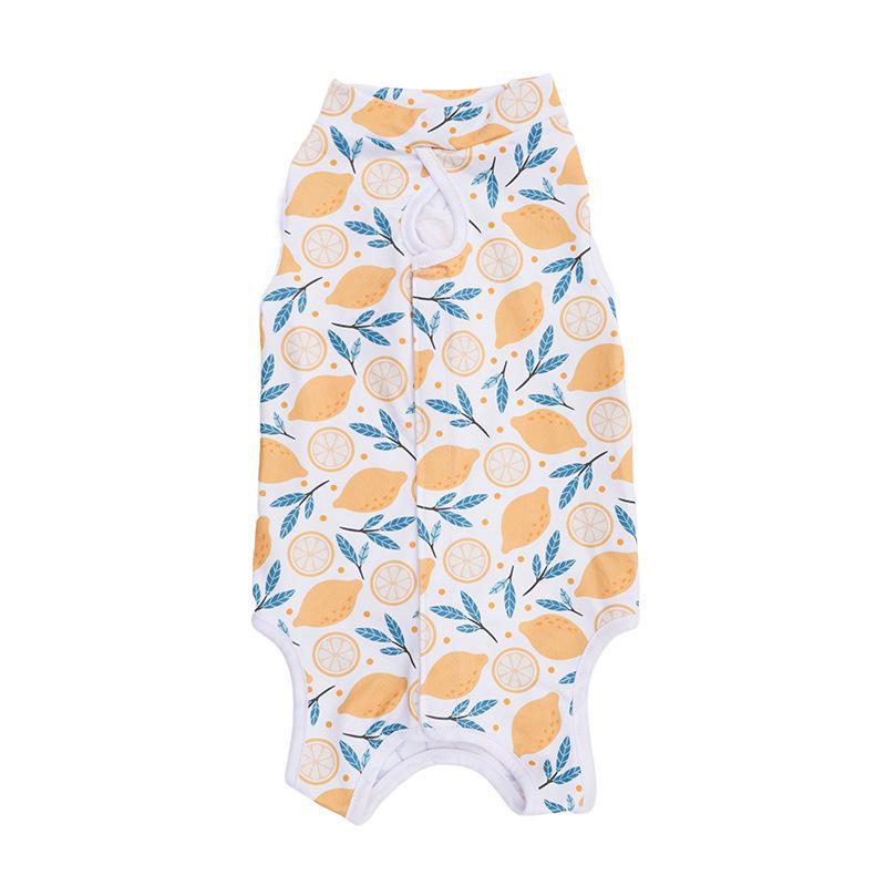 Pet Surgery Recovery Clothing: Cat & Dog Apparel for All Seasons