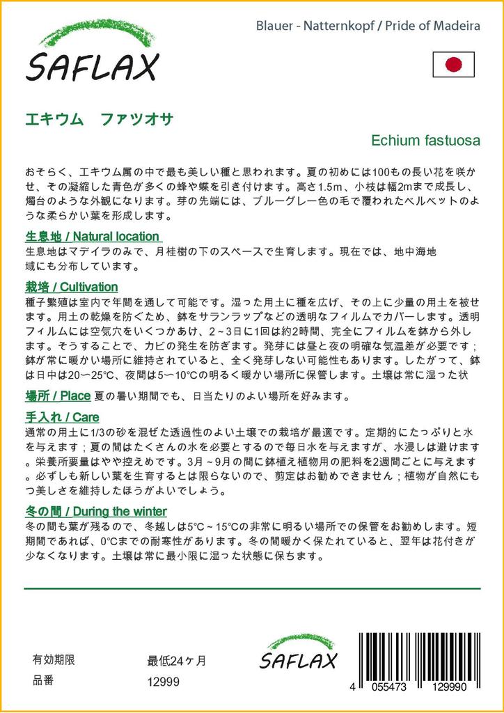 SAFLAX Гордость Мадейры - 100 семян - Echium fastuosa