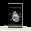 3D Лазерная гравировка Хрустальная модель человеческих органов Анатомическое Сердце/Зубы Фигурки Стеклянная пресс-папье со светодиодной подставкой Доктор