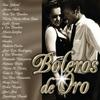 CD VARIOUS - Boleros De Oro 2002  Japan Latin Used