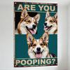 Vintage Rustic Teal Metal Sign with Happy Corgi Collage Photos - 'ARE YOU POOPING?' Distressed Text - Retro Home Decor for Man C
