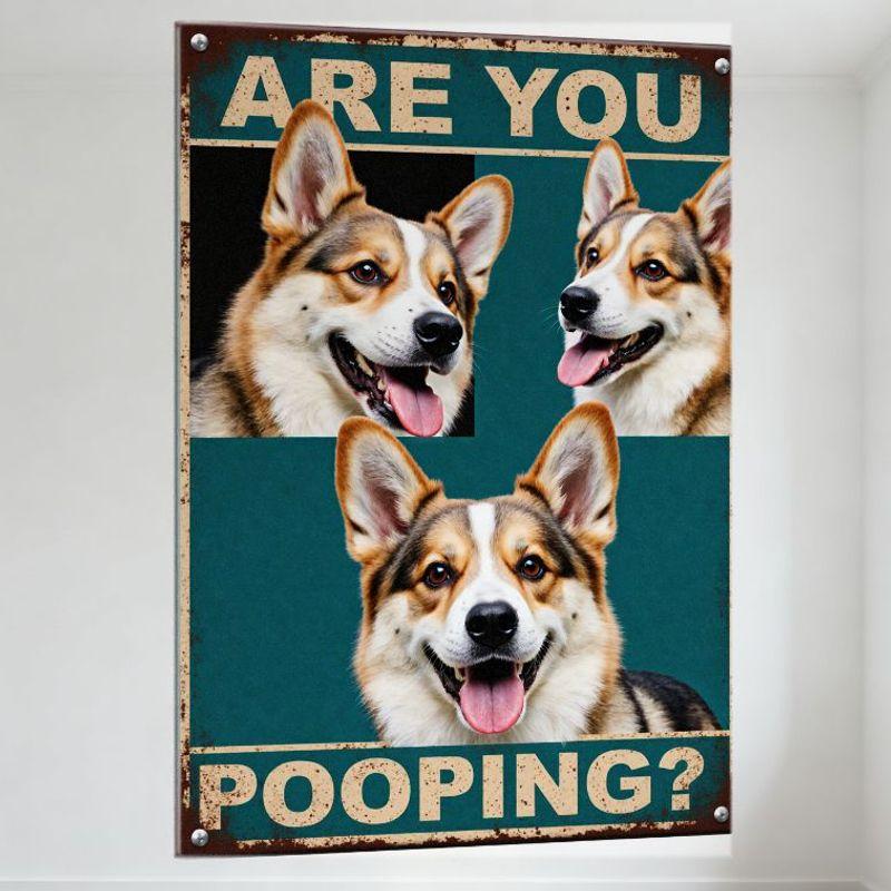 Vintage Rustic Teal Metal Sign with Happy Corgi Collage Photos - 'ARE YOU POOPING?' Distressed Text - Retro Home Decor for Man C