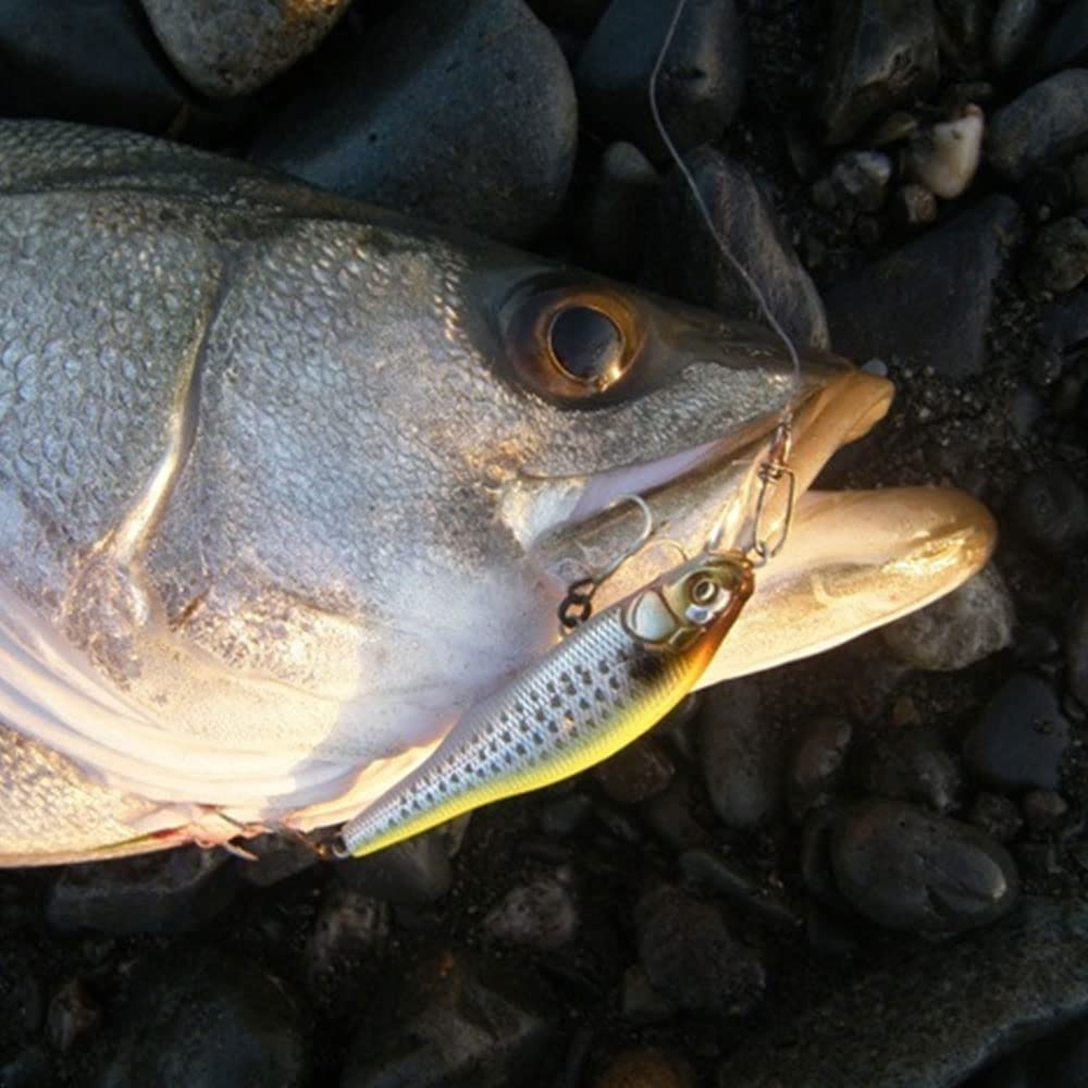 Megabass Воблер Minnow S 15 M Katakuchi RB X-80SW