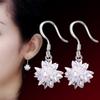Korean Version of Earrings for Women, Beautiful Ice Flower Temperament Silver Earrings, Earrings, Floral Crystal Jewelry.