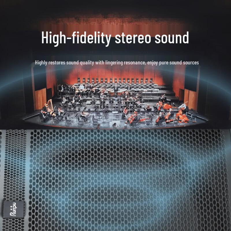 Runpu Professional Dual 10-inch Passive Conference Speaker (CN version)