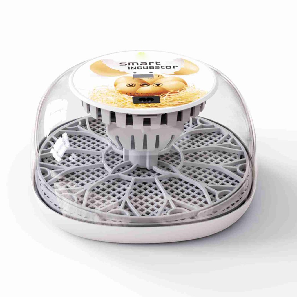 Egg Incubator for Hatching with Automatic Egg Turning Led Egg Test Lamp Clear Lid Easy to Wash 12 Eggs Poultry Hatcher Farm Bird Quail Chicken Poultry