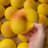 Flash Taro Bread Squeeze Toy Kneading Food Play Fidget Toy  Kids Tricky Doll
