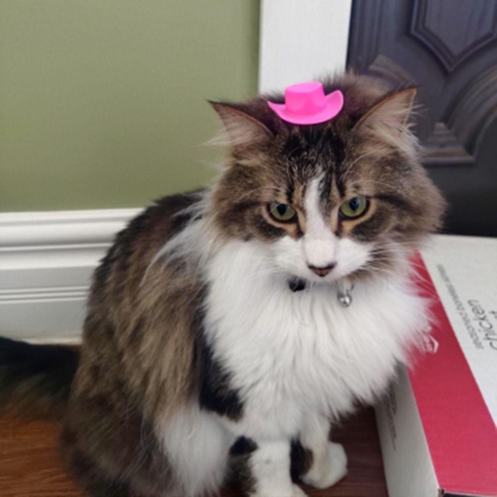 Cake Topper Mini Cowboy Hats Western Decor Doll Hats Dollhouse Decoration Bachelorette Party