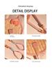 Japanese-Style Bow Fan 2026 New Model Handmade Woven Palm Leaf Fan Summer Small Fan Portable Durable Hand-Held Fan