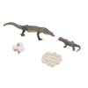 4 Pcs Lizard Life Cycle Toy PVC Realistic Educational Reptile Animal Growth Cycle Toy