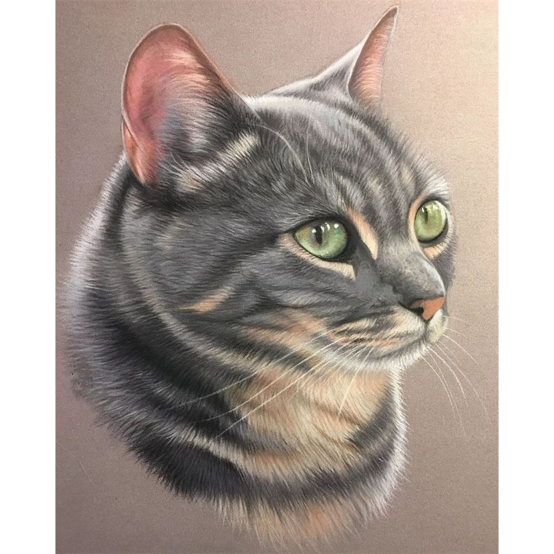 5D алмазная живопись животное вышивка крестом ремесло полная круглая дрель Алмазная вышивка полный комплект домашний декор ремесленный комплект