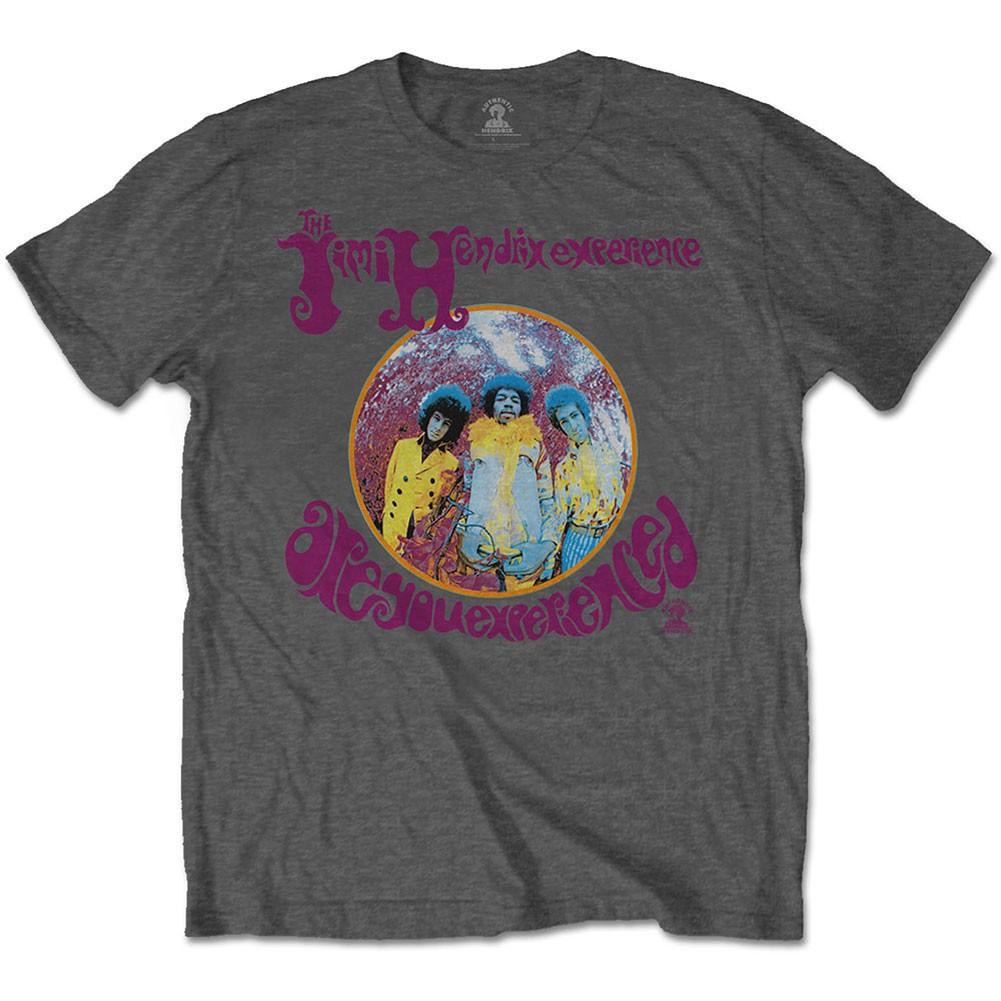 Men's Jimi Hendrix Are You Experienced? Slim Fit T-shirt Small Grey