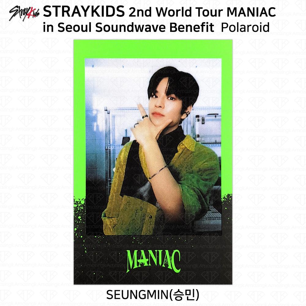 Stray Kids 2-й мировой тур MANIAC в Сеуле Фотокарточка Polaroid KPOP K-POP
