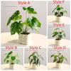 Реалистичные Искусственные Растения Бонсай Элегантный Вечнозеленый Симуляция Зеленое Растение Бонсай Без Полива с Керамическим Цветочным Горшком