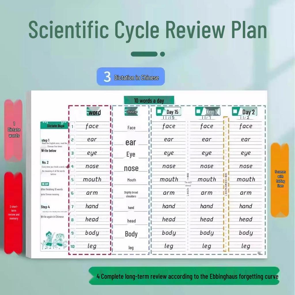 Метод памяти Эббингауза: Ежедневный словарь английских слов и книга для диктантов