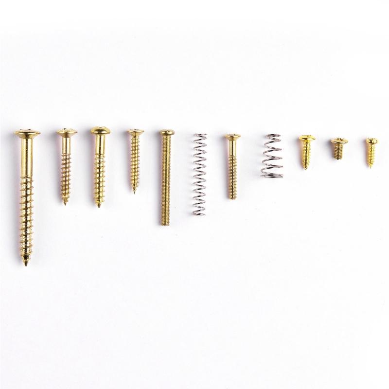 Guitar Parts Kits for Neck Plate Pickguard and Strap End Pins Guitar DIY Screws