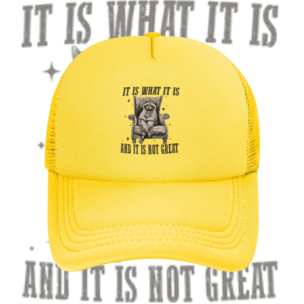 Raccoon sitting chair not great Baseball Cap Anime Graphic Hats Adult Unisex Women Sports Outdoor