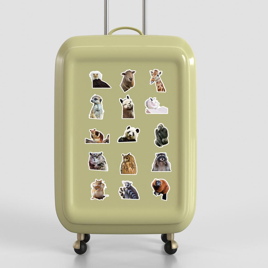 50 Милых Выражений Животных Граффити Наклеек Водонепроницаемые Декоративные Наклейки На Кружку, Чемодан, Наклейки с Мультяшными Животными