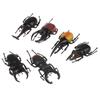 Simulation Animals Fake Beetle Simulation Beetle Special Lifelike Model Insect Model Beetle Toys