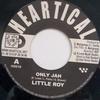 7-дюймовая пластинка LITTLE ROY BASQUE DUB FOUNDATION Only Jah Мелодика Раб HS018 Heartical 2005 Франция Регги Ска Даб Б/у