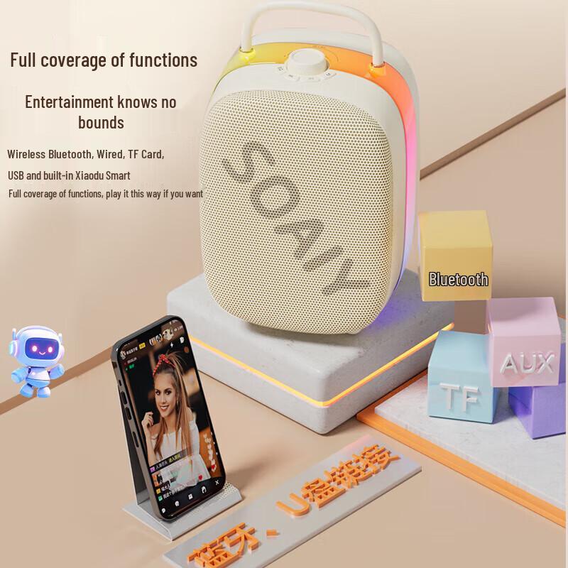 Soai SSK02 All-in-One Bluetooth KTV Speaker