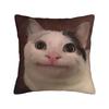 Домашний Декор Мяу Кошка Сова Мем Наволочка Аксессуары Чехол на Подушку Квадратный Разные Размеры