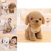 Plush Dog Toy With Pp Cotton Filling For Kids Gift And Playroom Decor