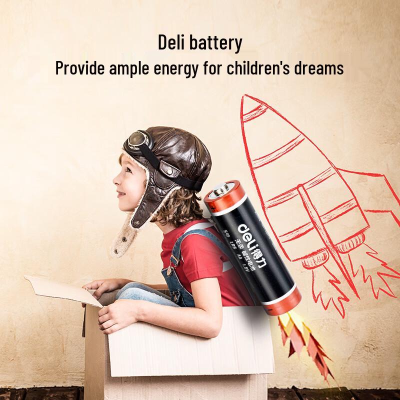 Deli AA Alkaline Batteries CN plug (adapter included)