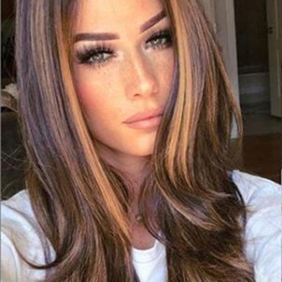 High Temperature Fiber Brown Long Curly Party Hairpiece Wig Women with Hairnet