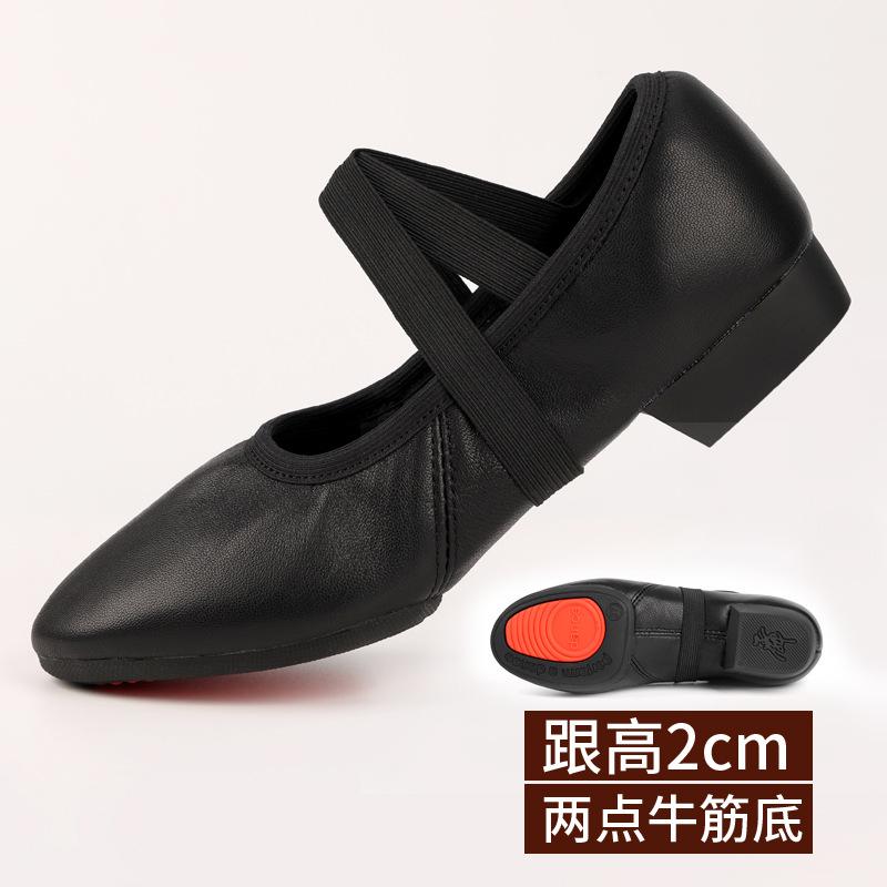 Танцевальная обувь для женщин, туфли для преподавателей с плоской подошвой на двух точках, профессиональная танцевальная обувь