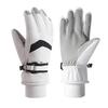 Winter Ski Gloves for Men Women Waterproof Windproof Touch Screen Snow Gloves Outdoor Thermal Gloves for Snowboard