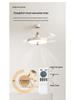 2025 High-End Invisible Ceiling Fan Light with Eye-Protection for Bedroom & Study