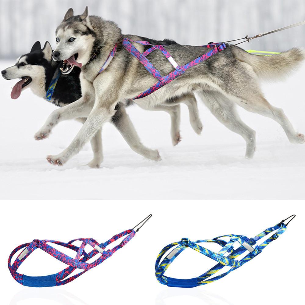 Dog Outside Snow Sled Harness With Adjustable Nylon For Husky And Labrador Training