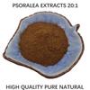 500 г чистого экстракта псоралеи 20:1 Порошок