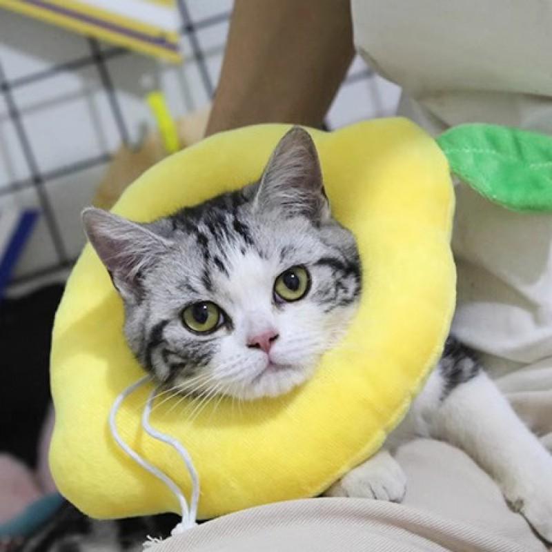 Adjustable Pet Recovery Collar Cats Dogs Post Surgery Anti-Lick Head Cover Soft Non-Woven Fabric Use