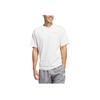 Adidas Select Graphic T-Shirt Soft Skin Comfortable Lightweight Short Sleeve Men Tops White Gray-Blue JC9091
