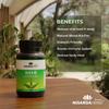 Набор Sonark's Nisarga Herbs Ним и Куркума Плюс (120 растительных капсул) - Органический Аюрведический Детокс Кожи и Поддержка Иммунитета - Натуральное Противовоспалительное и